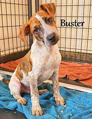 Buster