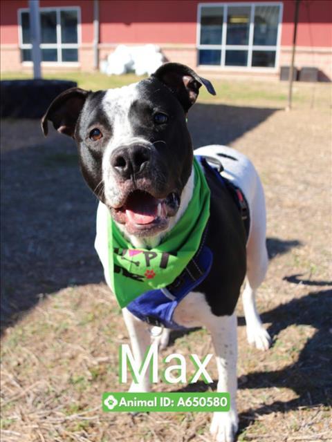 MAX