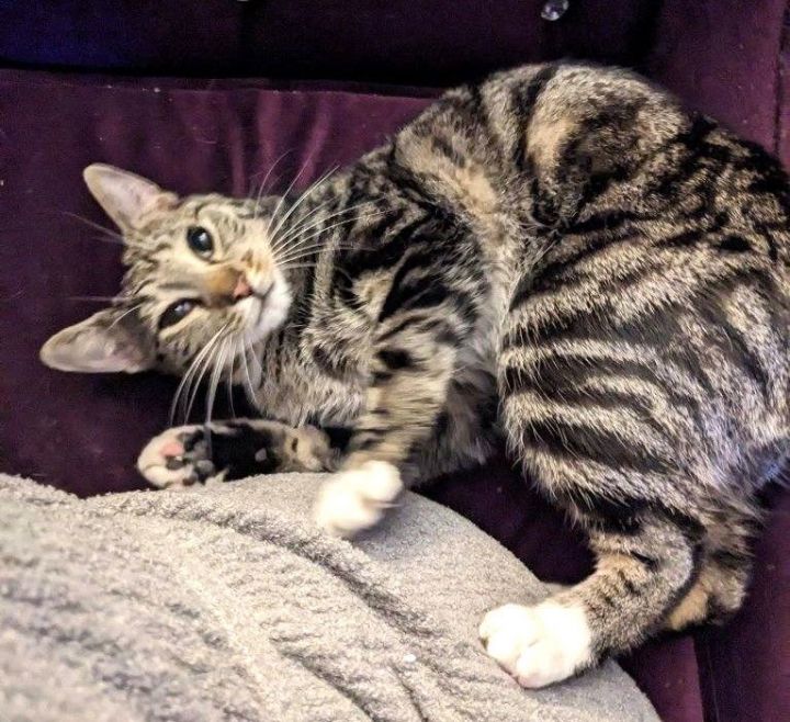 Marbles S. 3