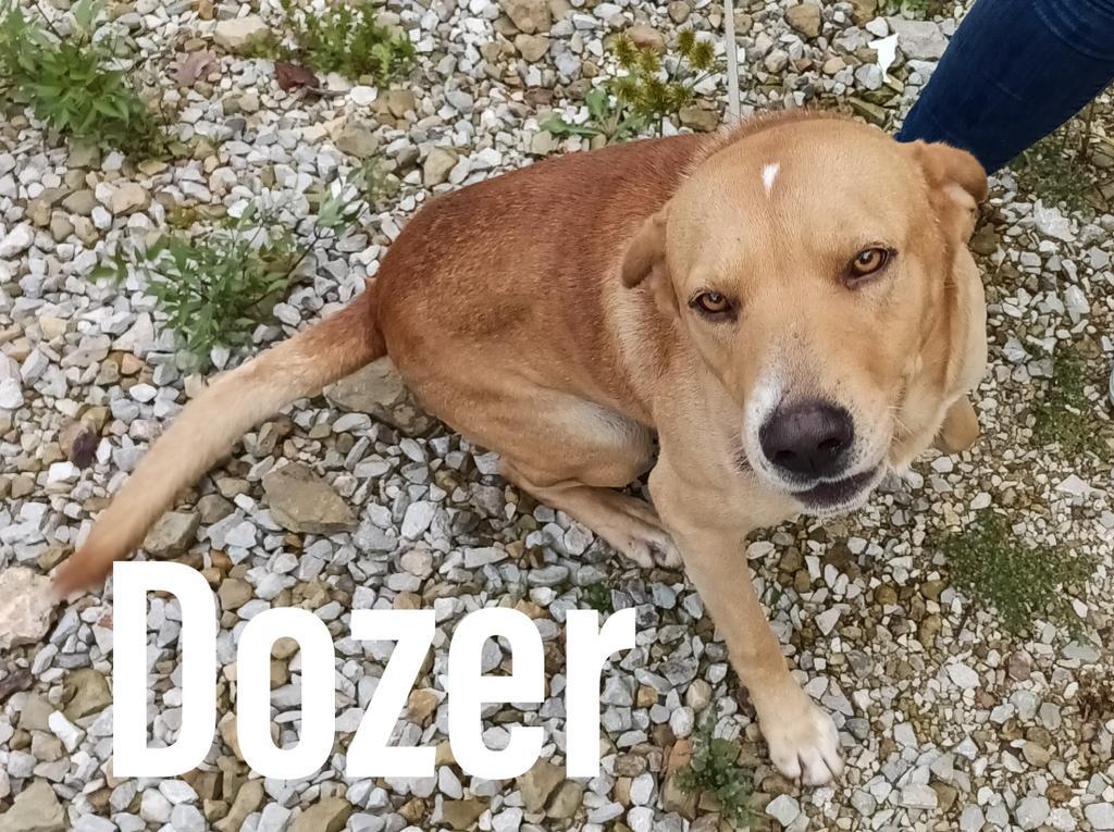 Dozer