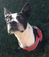 Charlie photo 3