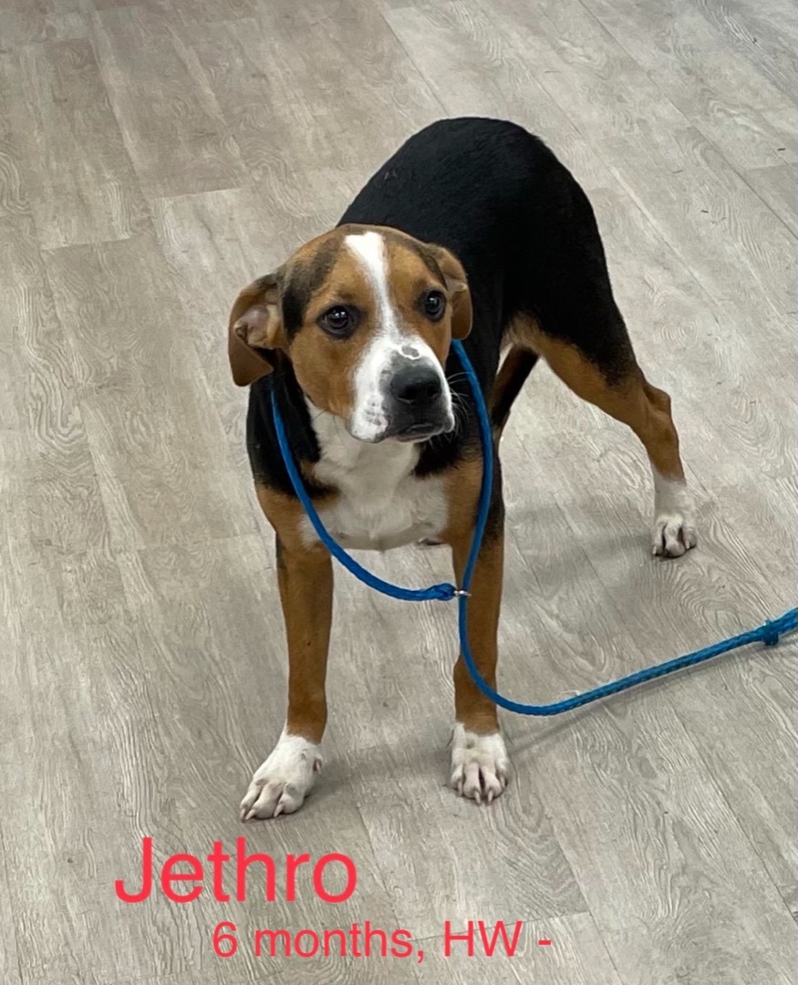 Jethro