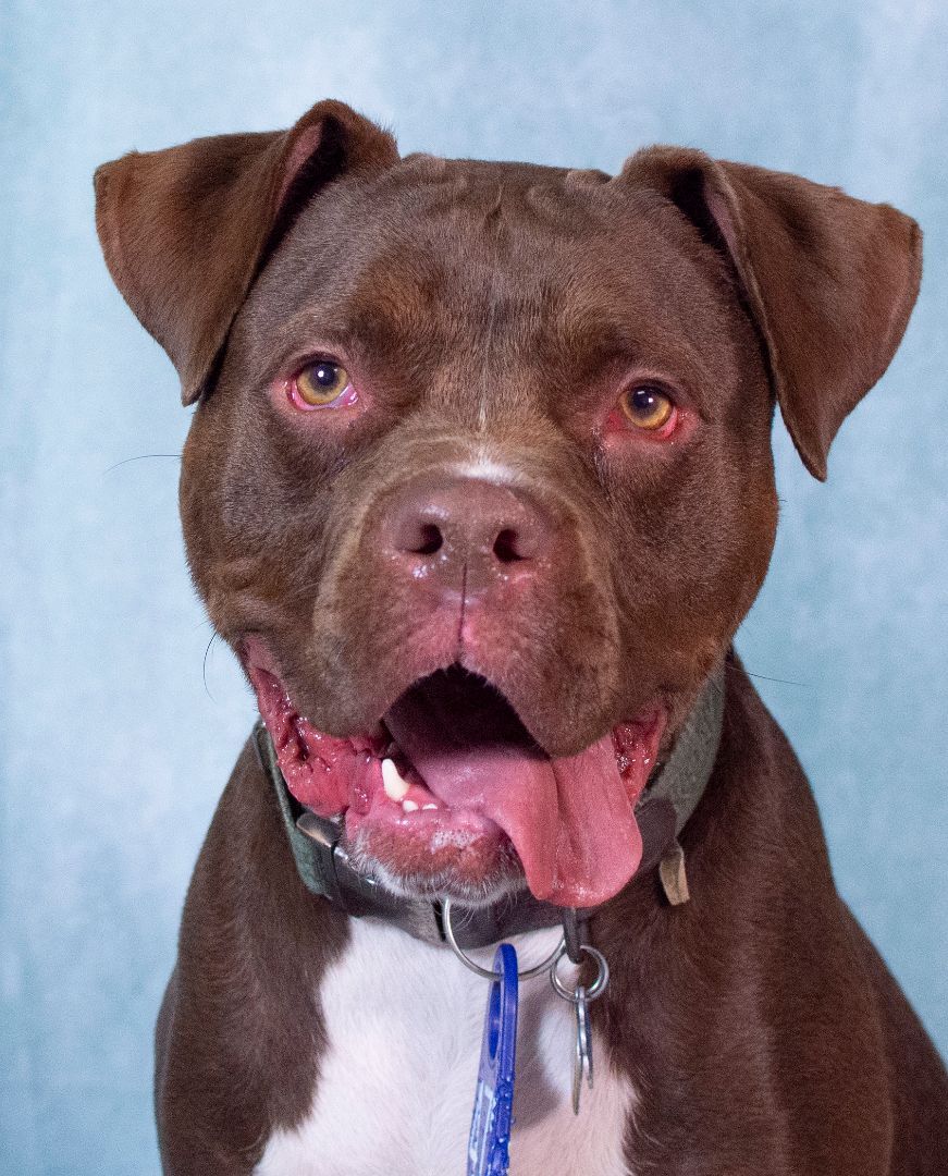 Murphy (ID 33397/2643)