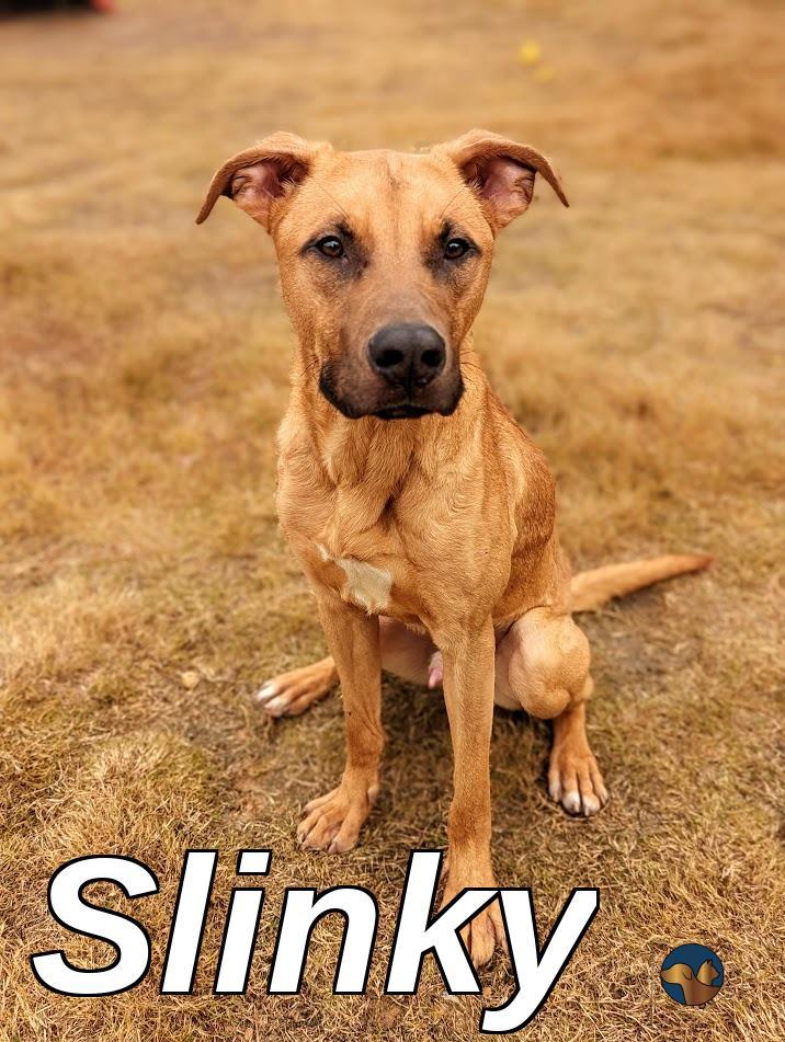 Slinky