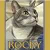 Rocky photo 5