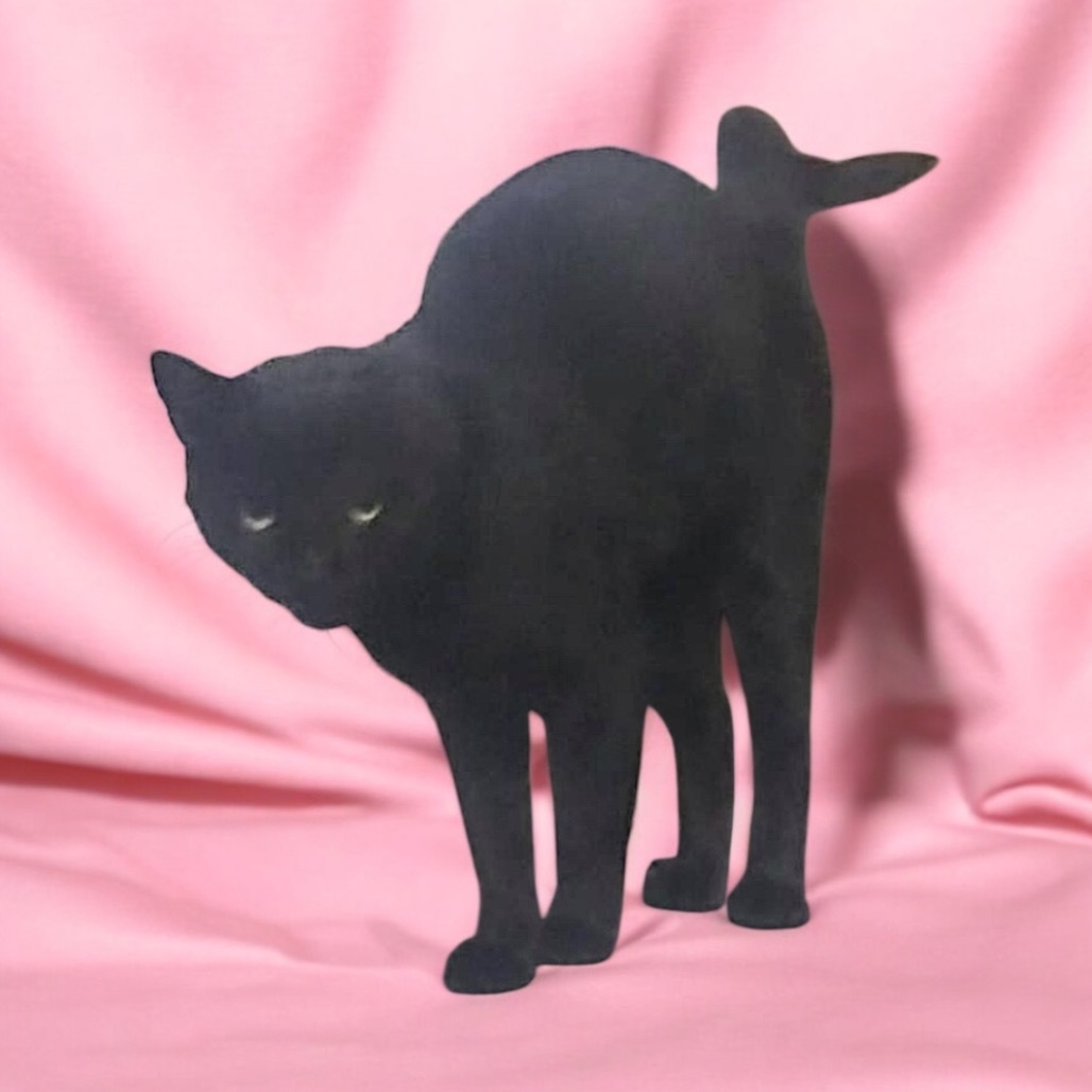 Elvira, an adoptable Domestic Short Hair in Hemet, CA, 92543 | Photo Image 1