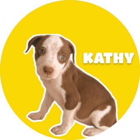 GoGo's Litter: Kathy