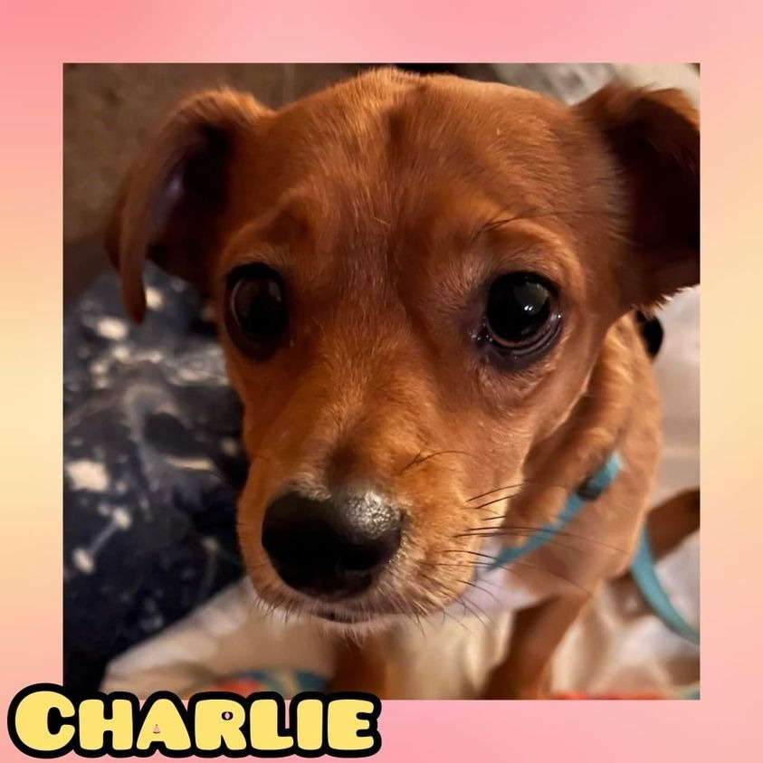 Charlie