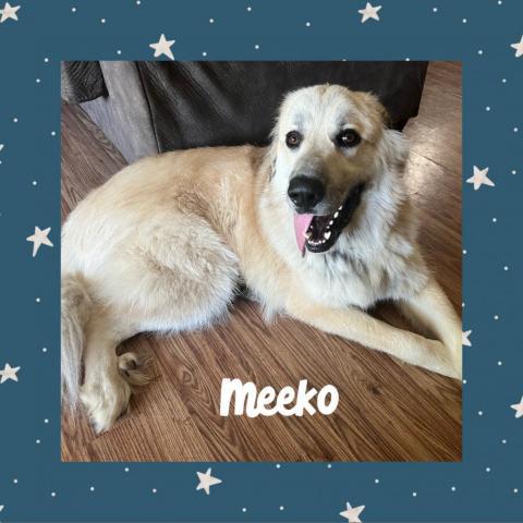 Meeko