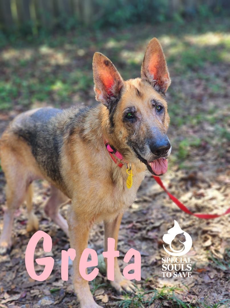 Greta