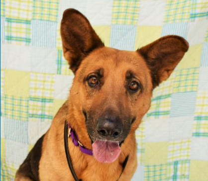 LADY - ID#A412503