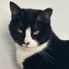 Speckle photo 5