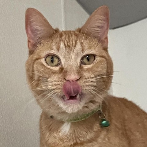 Evan 1