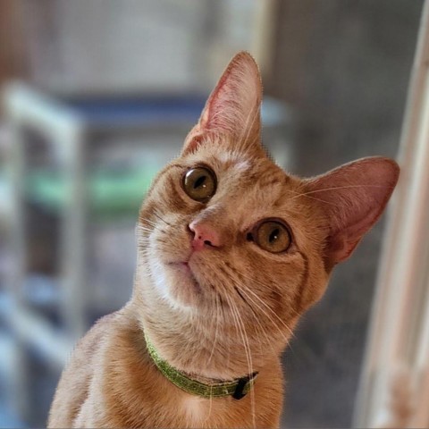 Evan 3