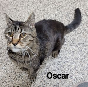 Oscar UPDATE