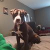 Debo photo 3
