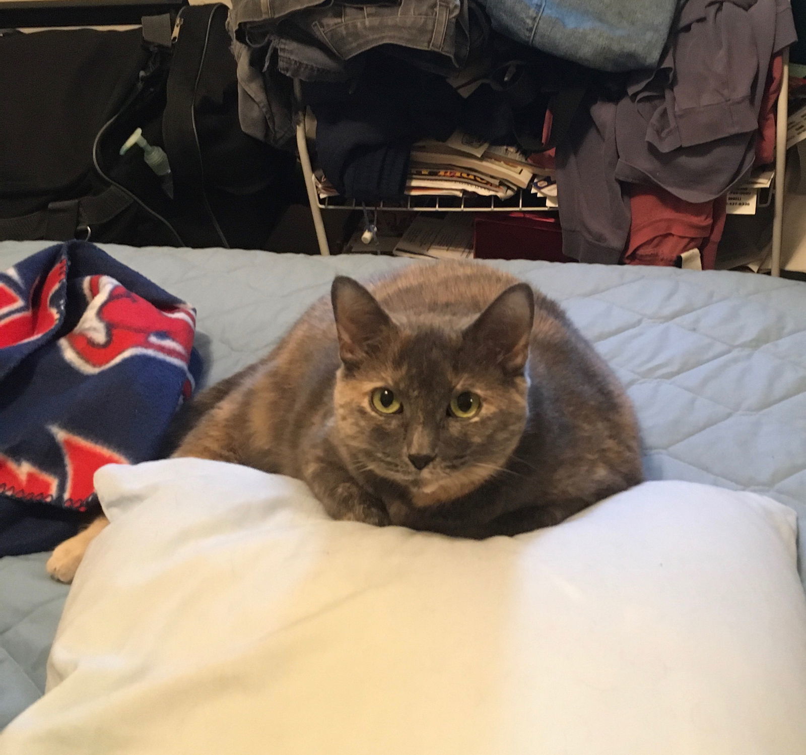 Kiara