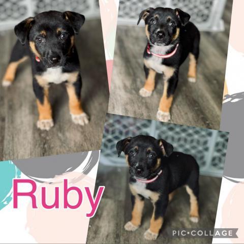 Ruby