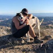 PONO, an adoptable Cattle Dog, Shepherd in Point Richmond, CA, 94801 | Photo Image 3