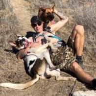 PONO, an adoptable Cattle Dog, Shepherd in Point Richmond, CA, 94801 | Photo Image 6