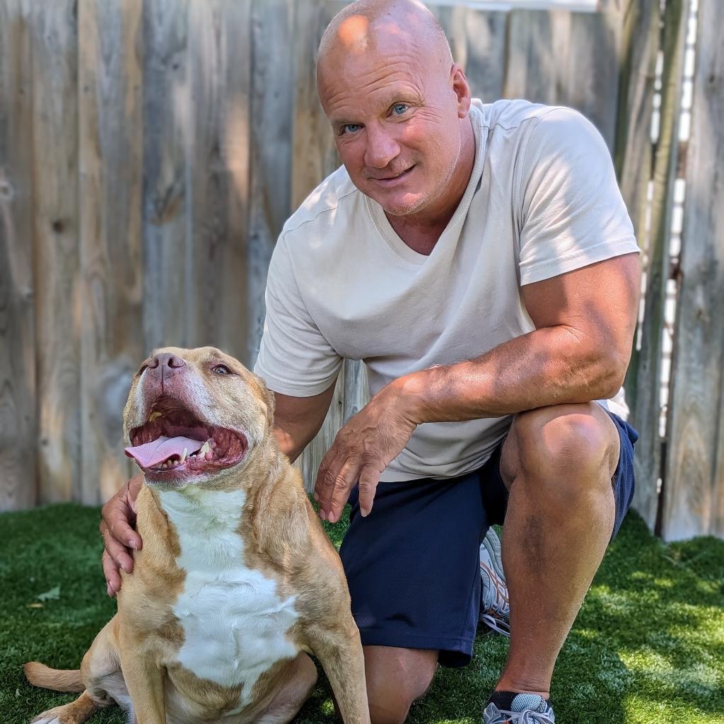 Avocado, an adoptable Mixed Breed in Chicago, IL, 60647 | Photo Image 3