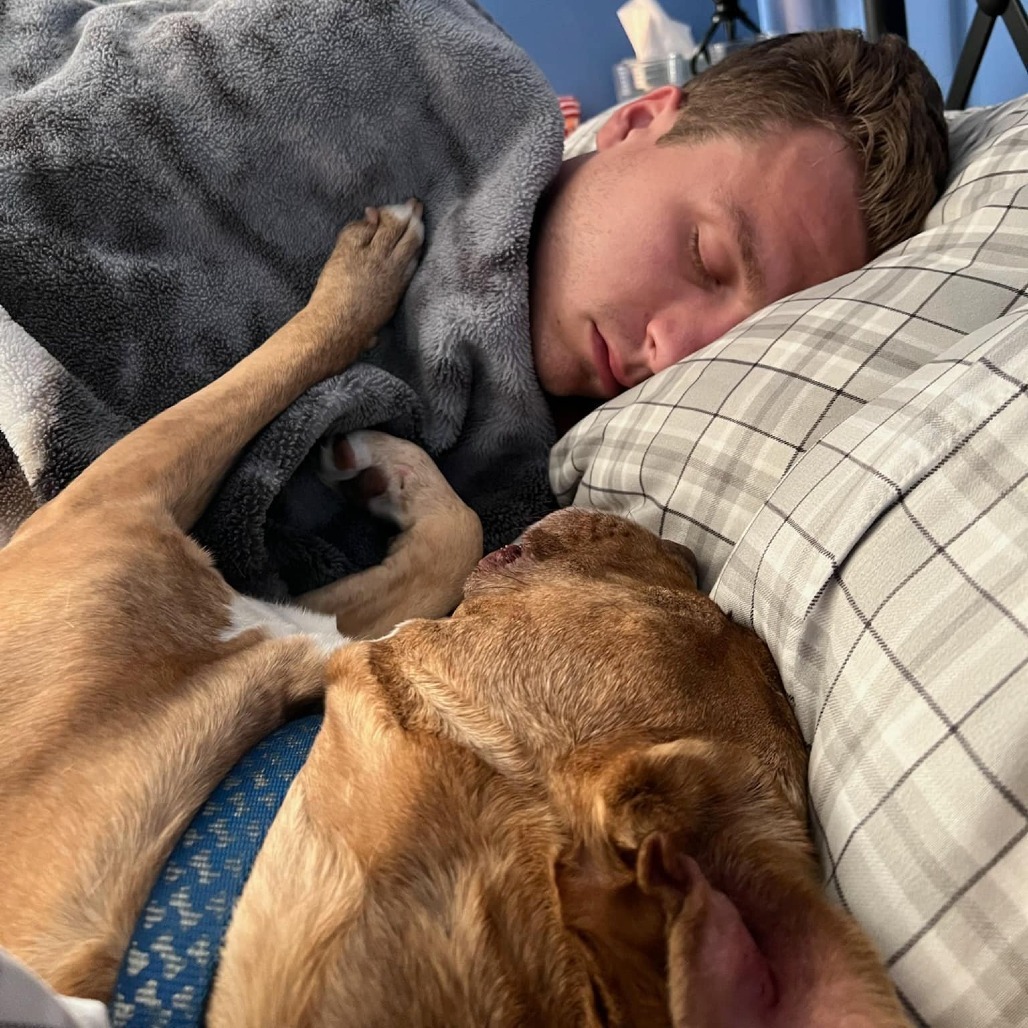 Avocado, an adoptable Mixed Breed in Chicago, IL, 60647 | Photo Image 5