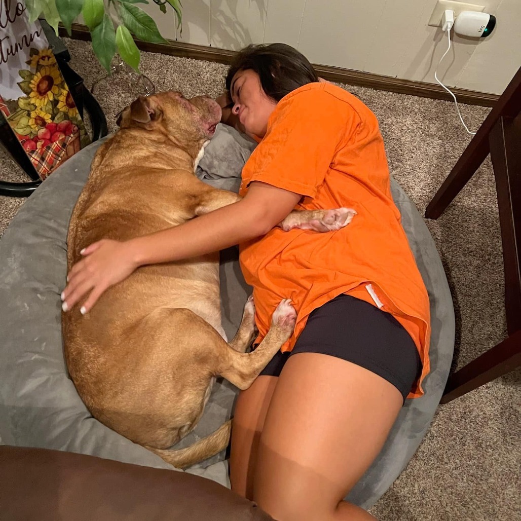 Avocado, an adoptable Mixed Breed in Chicago, IL, 60647 | Photo Image 6