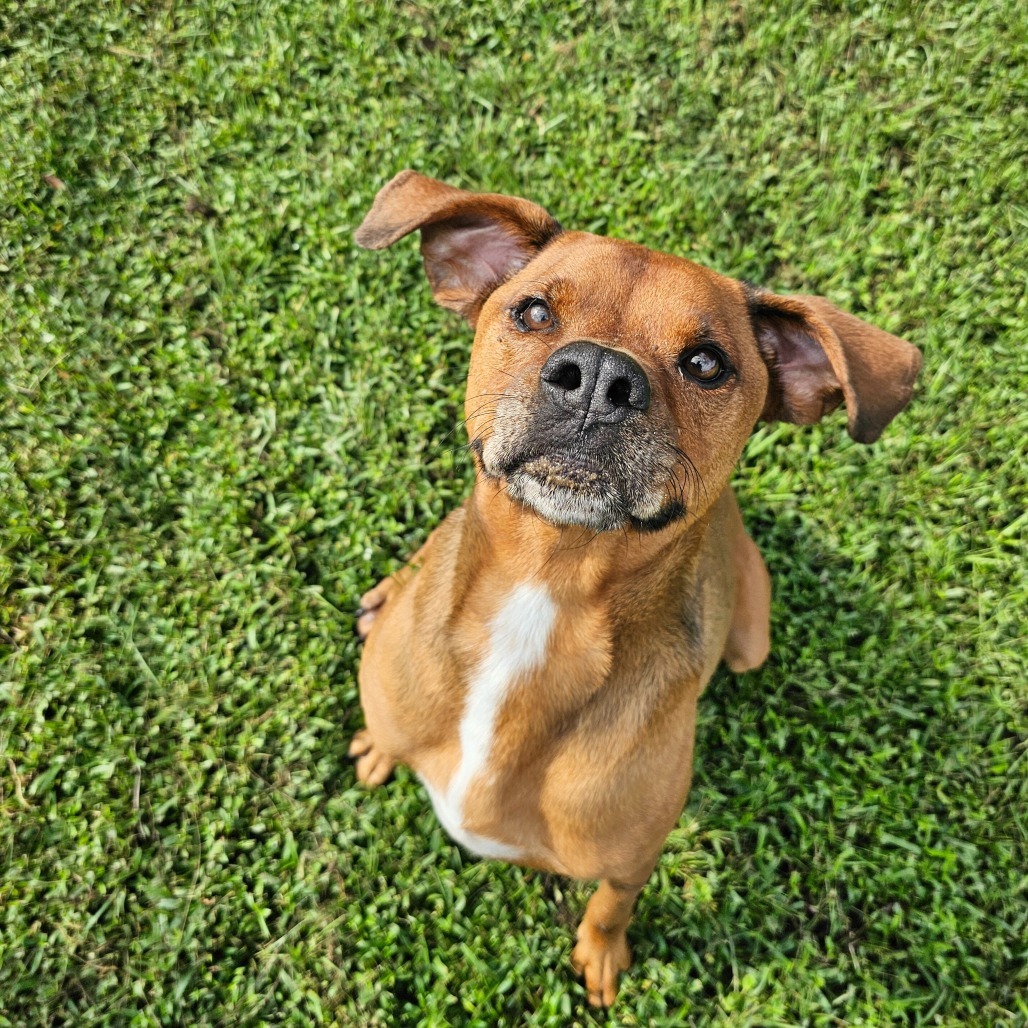 Jake