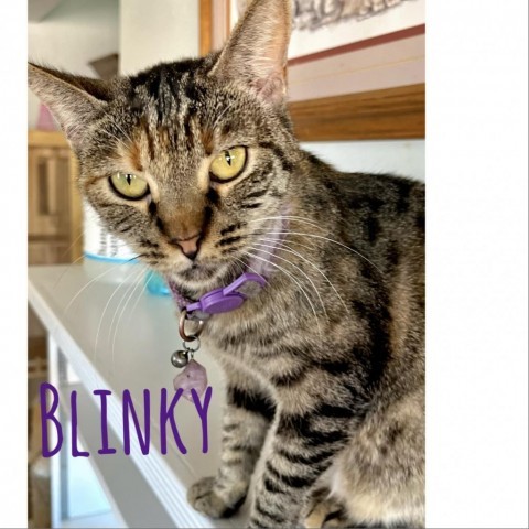 Blinky 1
