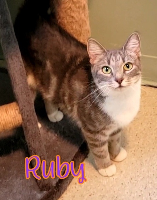 Ruby 3