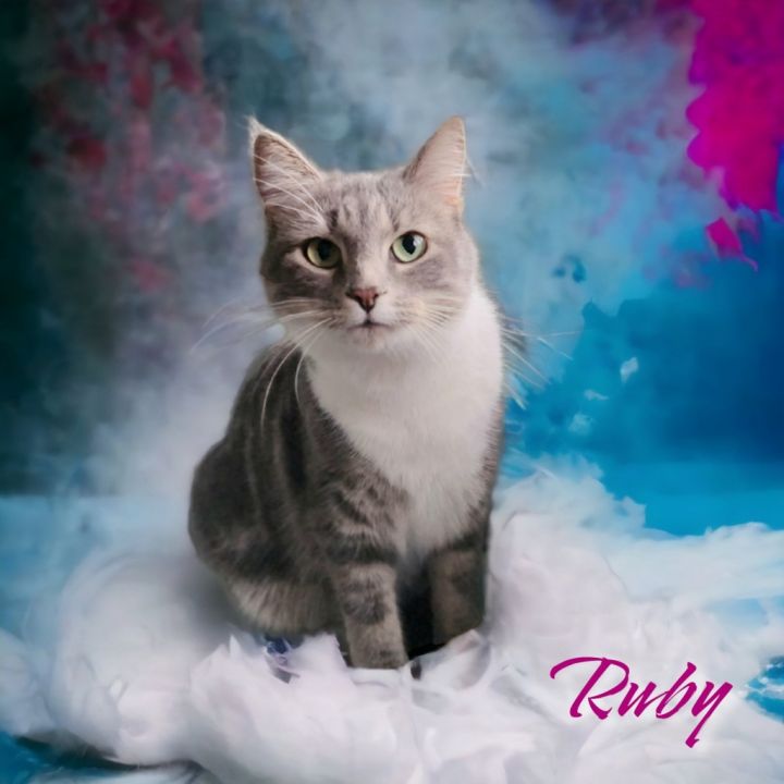 Ruby 6