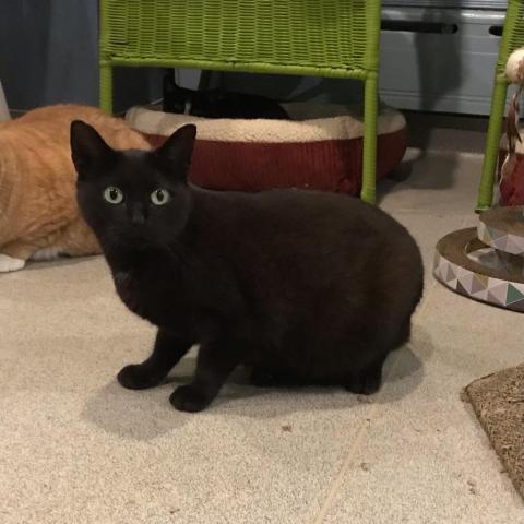 Sabrina