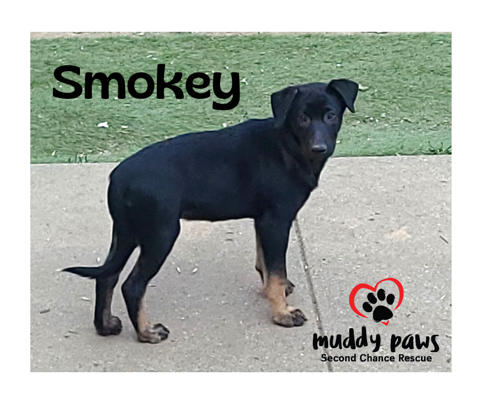 Oklahoma 11: Smokey
