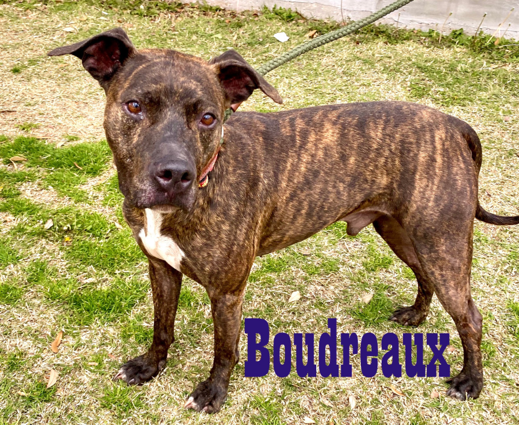 Boudreaux