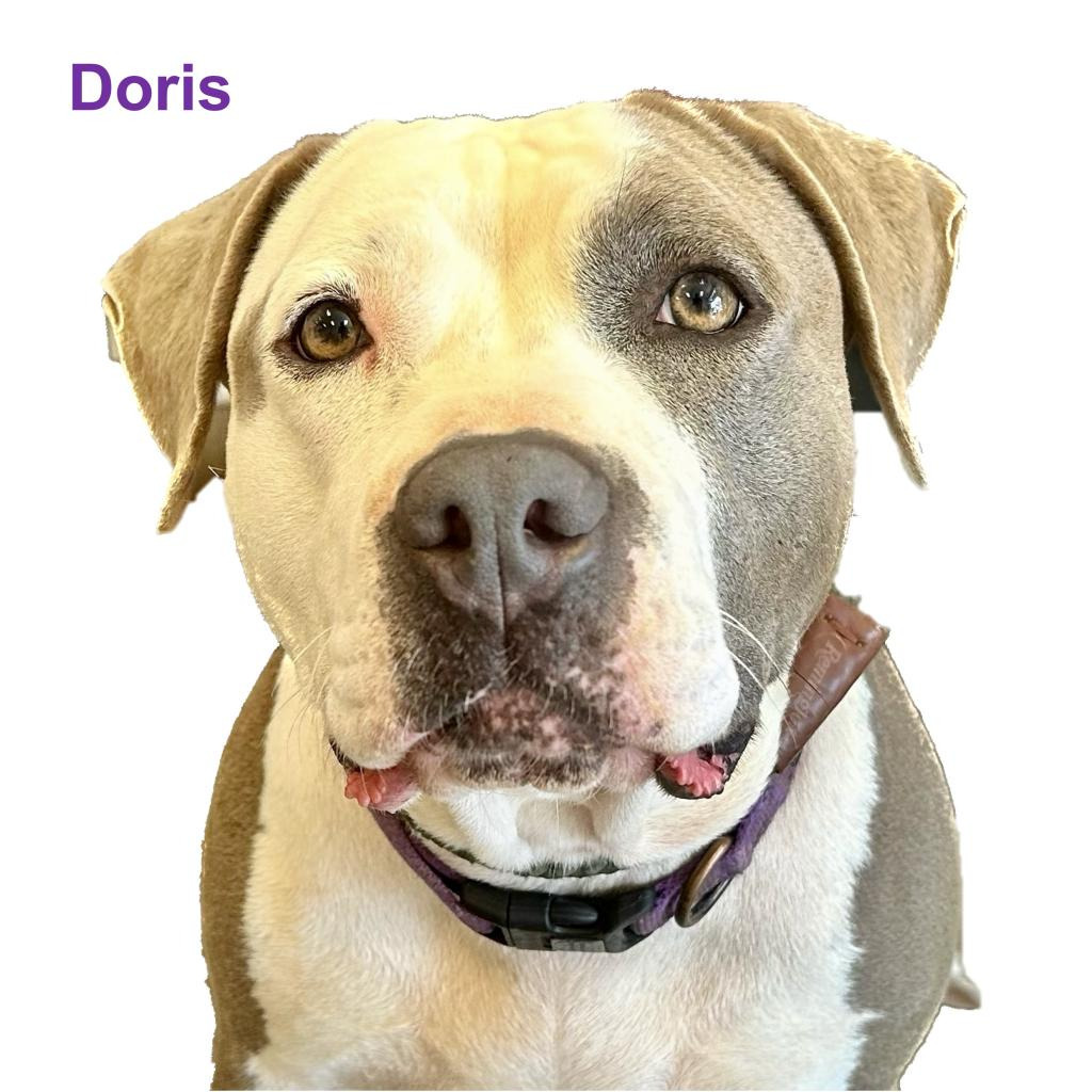 Doris