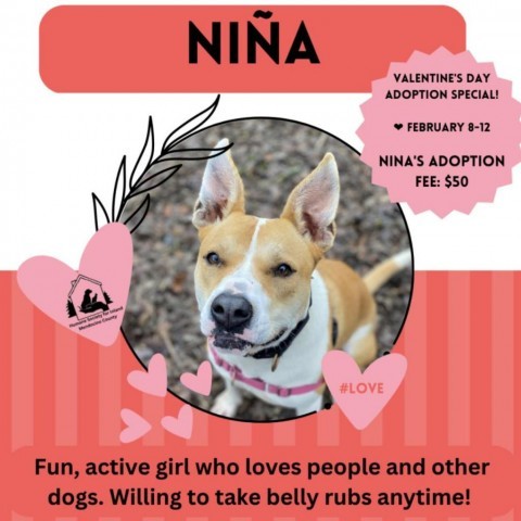 Nina