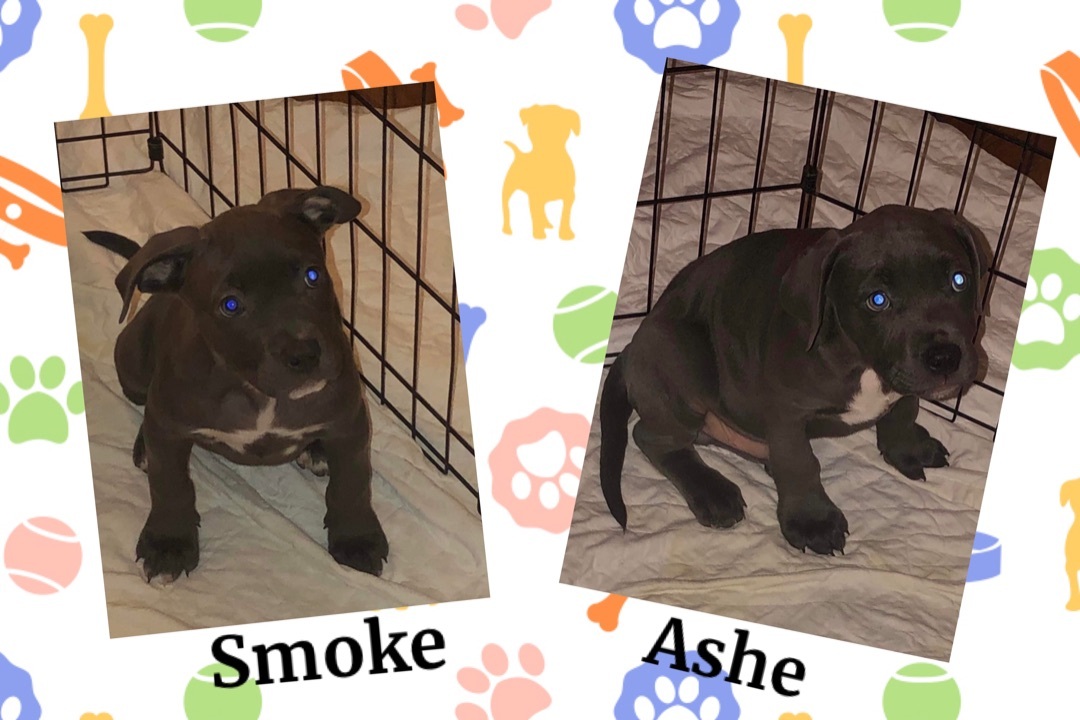 Ashe & Smoke