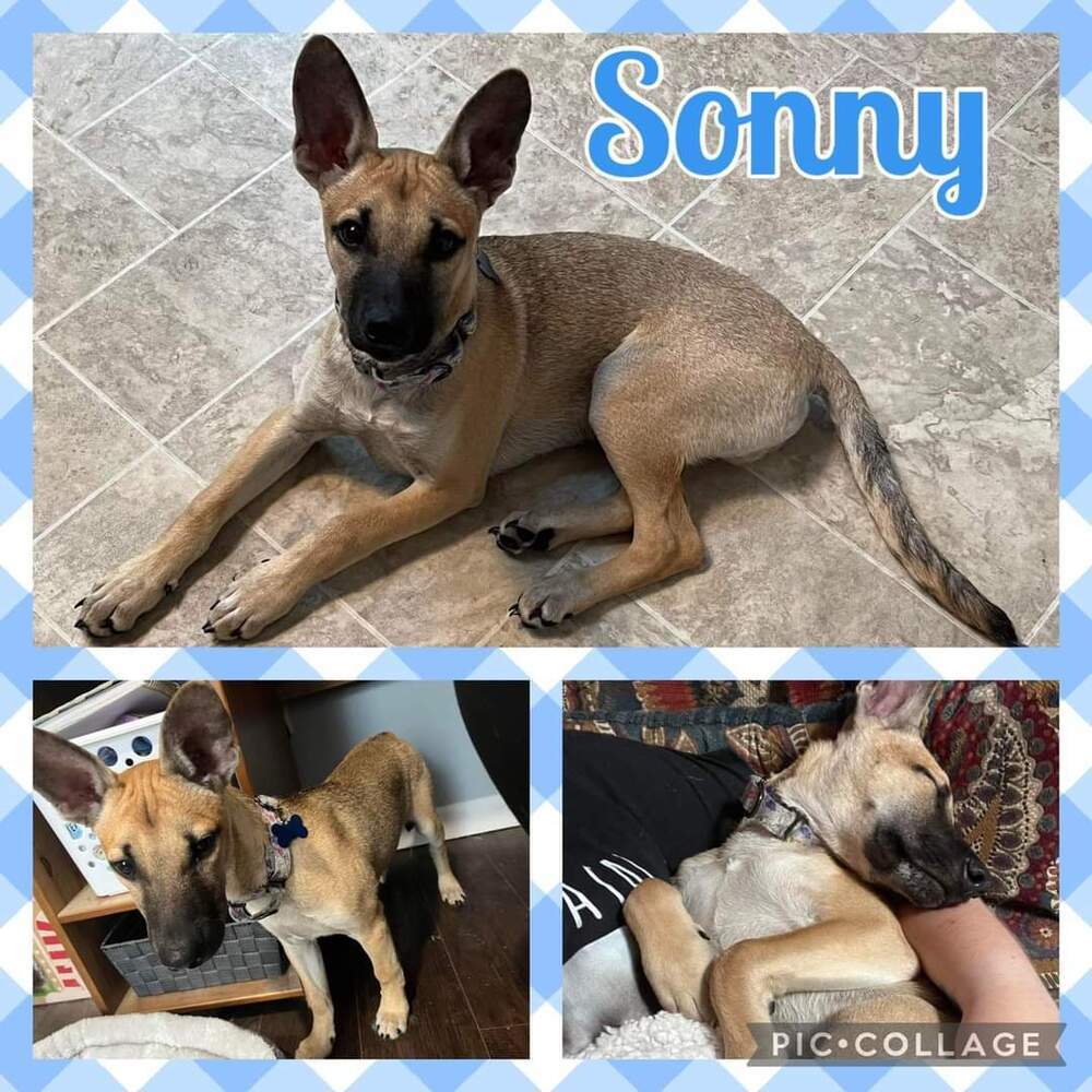 Sonny