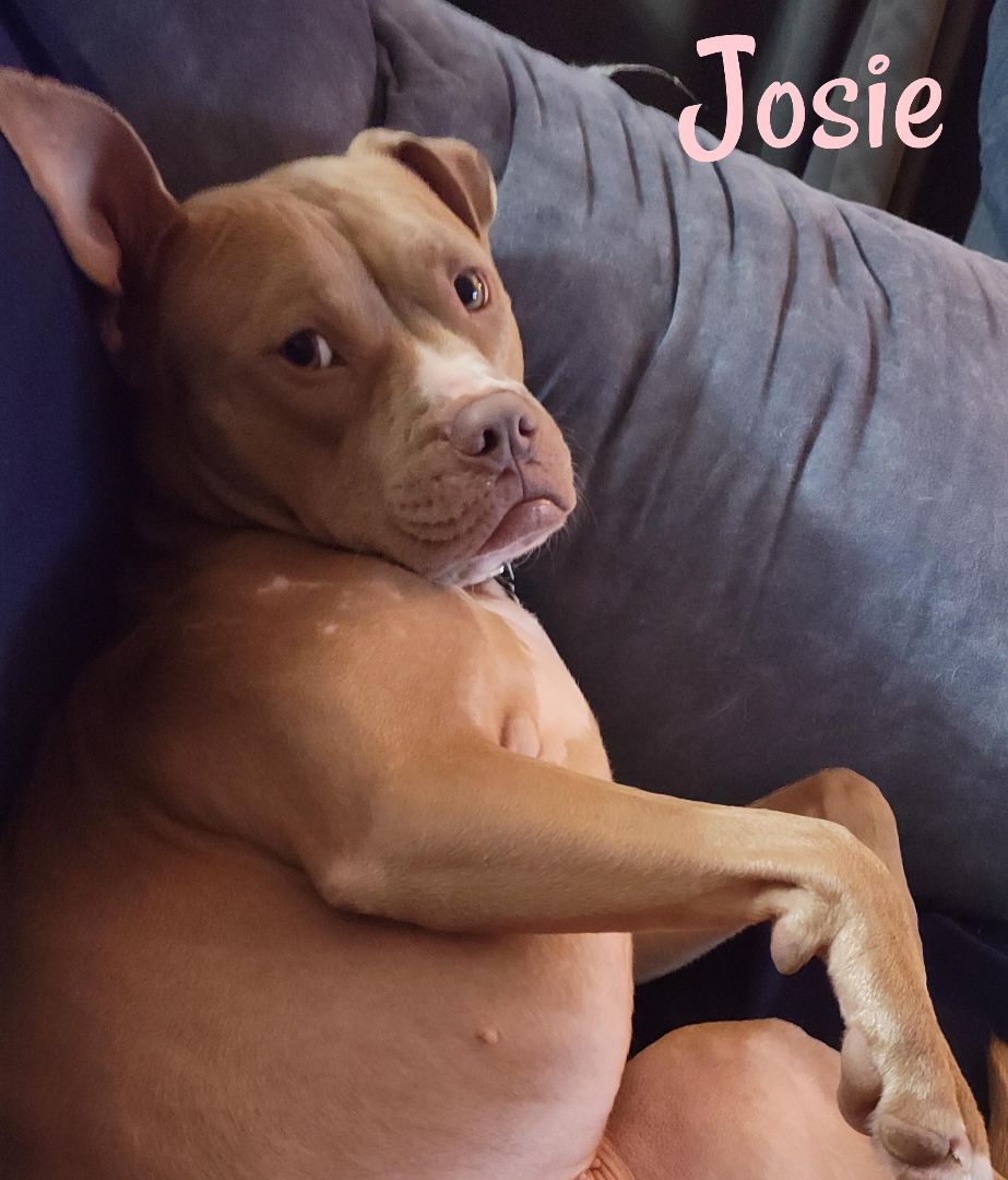 Josie