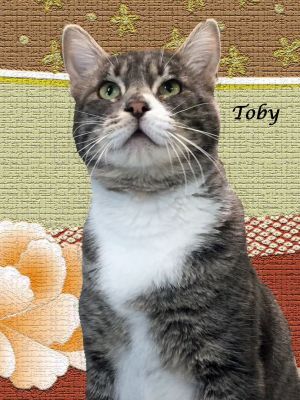 TOBY