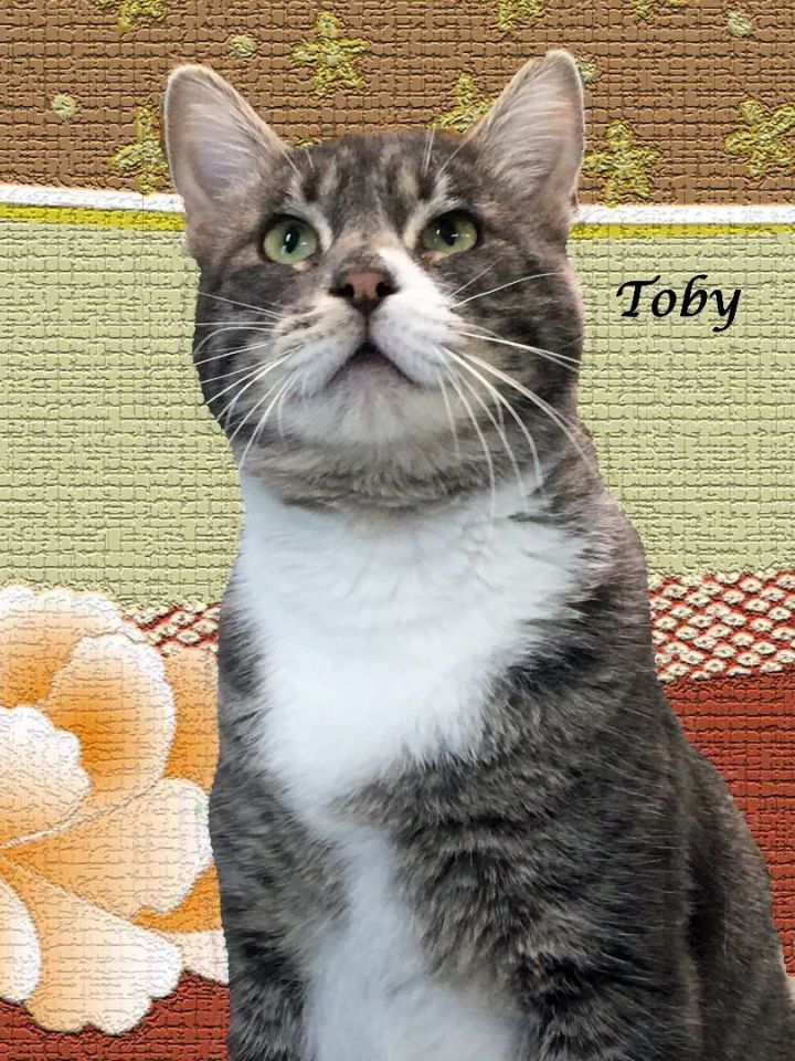 TOBY 1