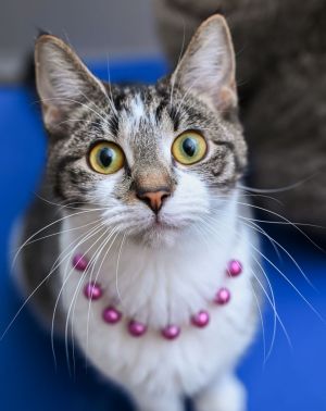 Nadia