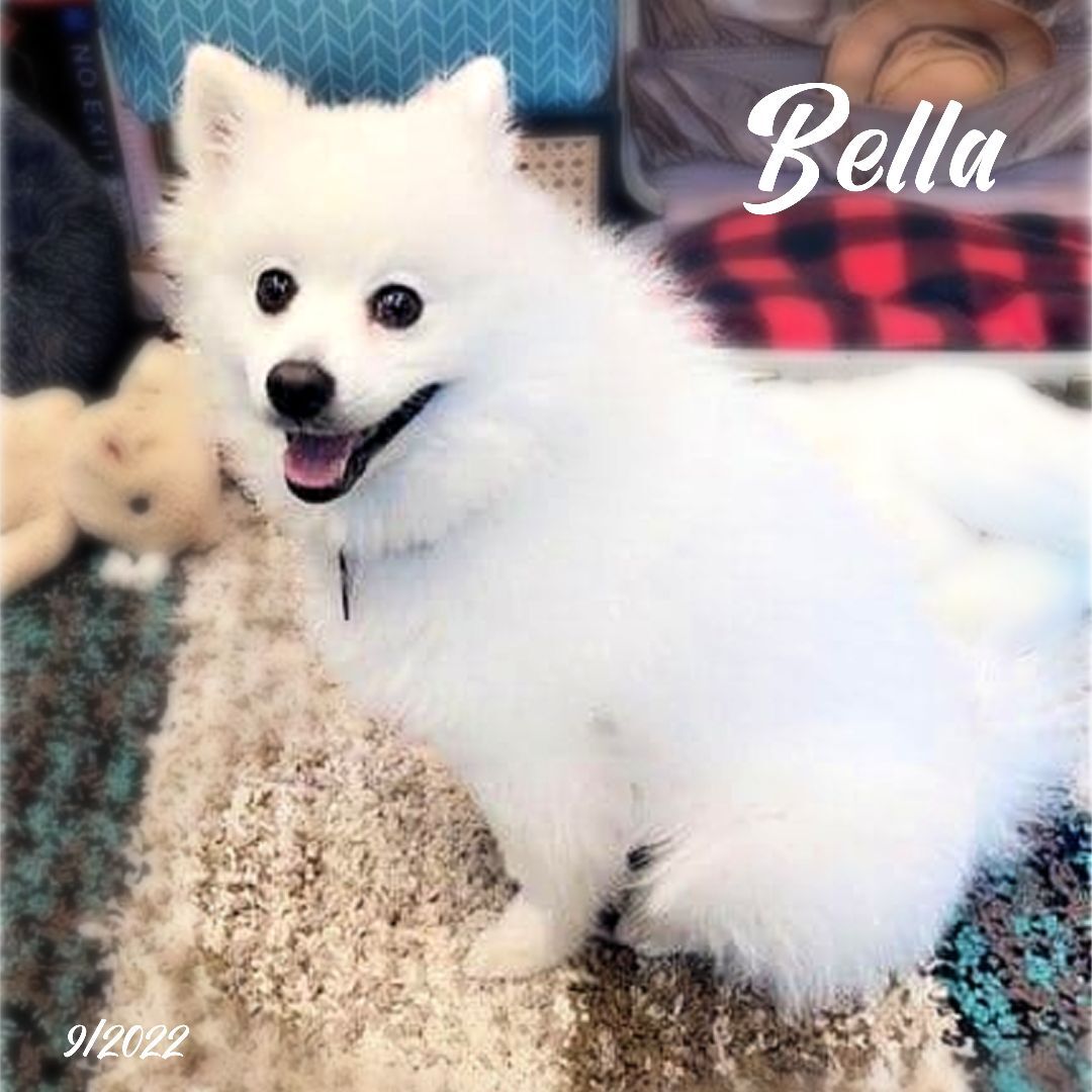 Bella