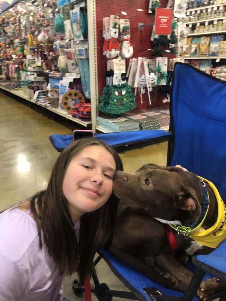 Mazy, an adoptable American Bulldog in Dawson, GA, 31742 | Photo Image 3