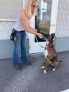 Roscoe