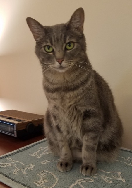 Spunky