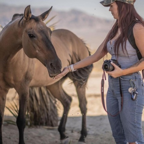 Winnie, an adoptable Quarterhorse in Las Vegas, NV_image-2