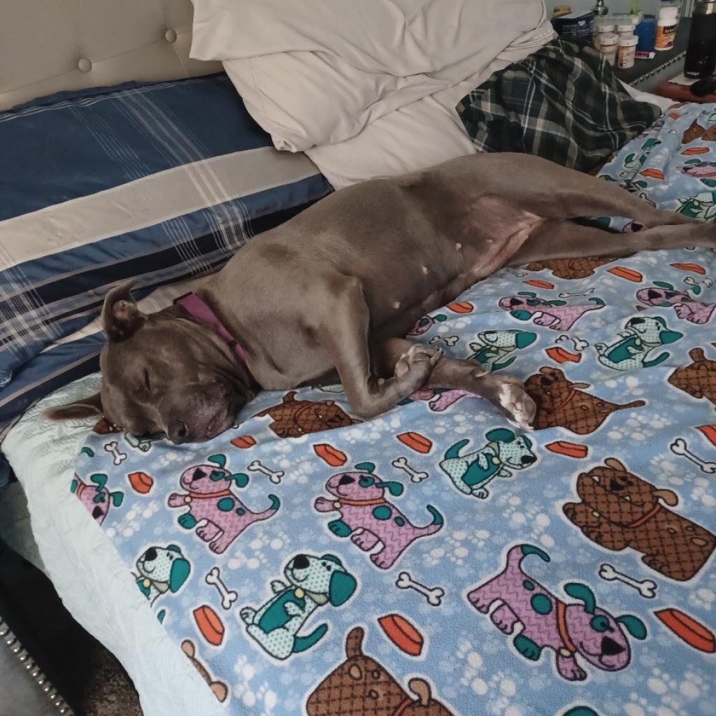 Eloise