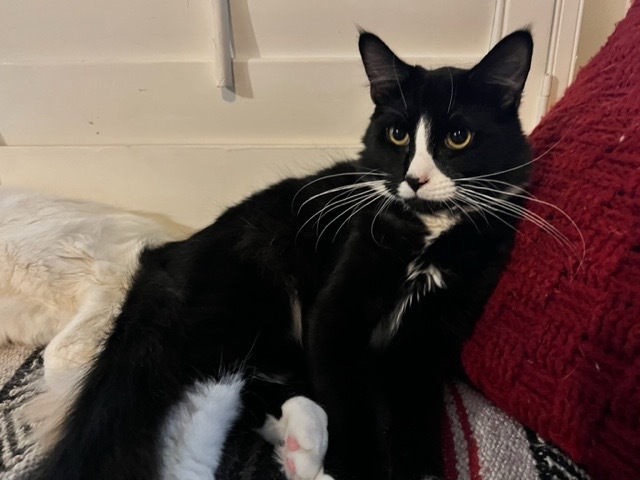Vader