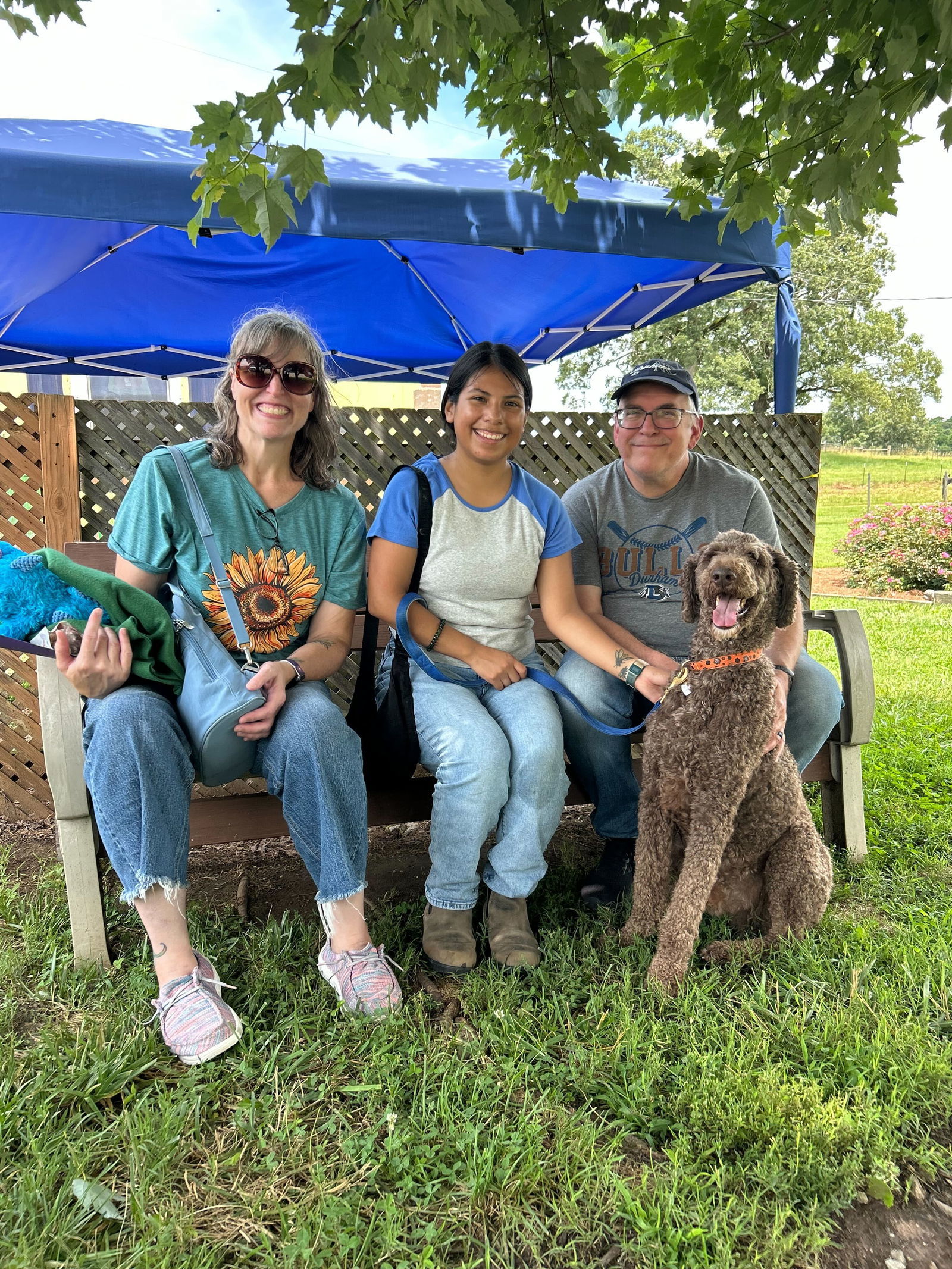 Posh of Charlotte, an adoptable Standard Poodle in Pacolet, SC, 29372 | Photo Image 1